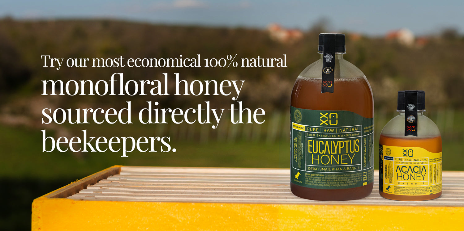 Acacia Honey & EUCALYPTUS Honey by XAXU